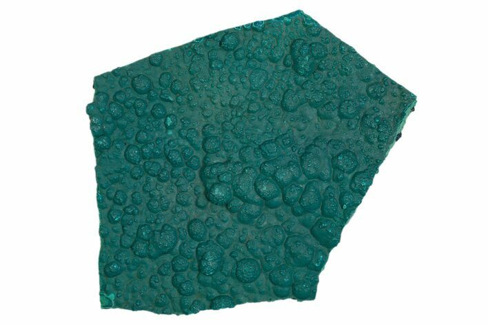 Teal Botryoidal Chrysocolla and Malachite - Chile #310138